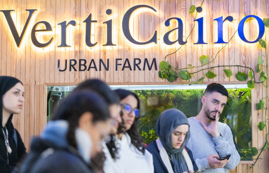 Designing Buildings That Grow Food: Architecture Students from the German University in Cairo Visit VertiCairo